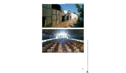 Aste giudiziarie immobiliari online - 7.0