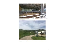 Aste giudiziarie immobiliari online - 5.0