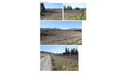 Aste giudiziarie immobiliari online - 5.0