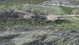 Aste giudiziarie immobiliari online - 3.0