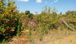 Aste giudiziarie immobiliari online - 11.0