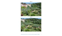Aste giudiziarie immobiliari online - 3.0