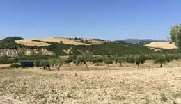 Aste giudiziarie immobiliari online - 3.0