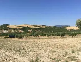 Aste giudiziarie immobiliari online - 3.0