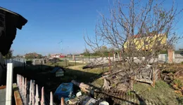 Aste giudiziarie immobiliari online - 6.0