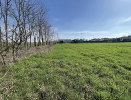 Aste giudiziarie immobiliari online - 6.0