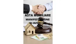Aste giudiziarie mobiliari online - 9.0