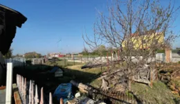 Aste giudiziarie immobiliari online - 10.0