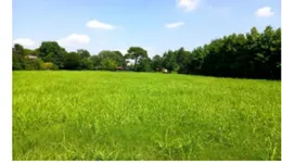 Aste giudiziarie immobiliari online - 11.0