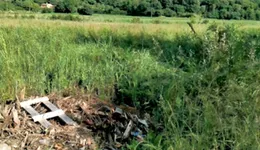 Aste giudiziarie immobiliari online - 1.0