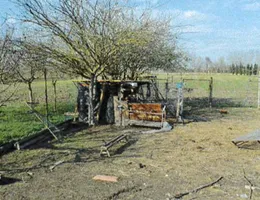 Aste giudiziarie immobiliari online - 12.0