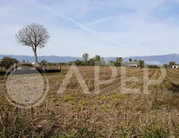 Aste giudiziarie immobiliari online - 12.0