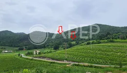 Aste giudiziarie immobiliari online - 5.0