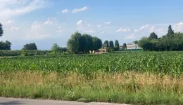 Aste giudiziarie immobiliari online - 7.0