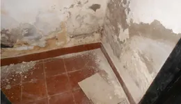 Aste giudiziarie immobiliari online - 5.0