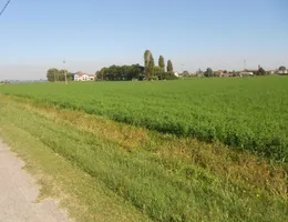 Aste giudiziarie immobiliari online - 6.0