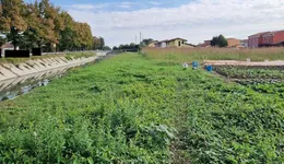 Aste giudiziarie immobiliari online - 1.0