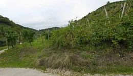 Aste giudiziarie immobiliari online - 6.0