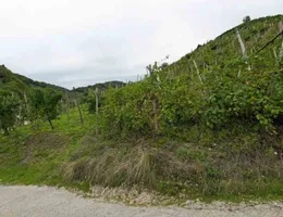 Aste giudiziarie immobiliari online - 4.0
