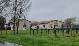 Aste giudiziarie immobiliari online - 8.0