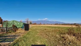 Aste giudiziarie immobiliari online - 8.0
