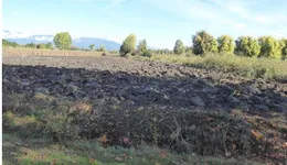 Aste giudiziarie immobiliari online - 8.0