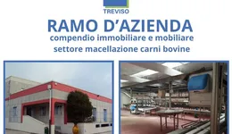 Aste giudiziarie beni immateriali online - 4.0