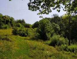 Aste giudiziarie immobiliari online - 6.0