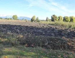 Aste giudiziarie immobiliari online - 10.0