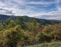 Aste giudiziarie immobiliari online - 12.0