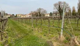 Aste giudiziarie immobiliari online - 1.0