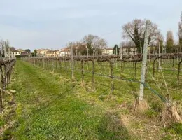 Aste giudiziarie immobiliari online - 8.0