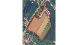 Aste giudiziarie immobiliari online - 7.0
