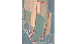 Aste giudiziarie immobiliari online - 2.0