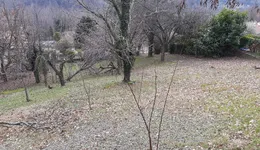 Aste giudiziarie immobiliari online - 4.0