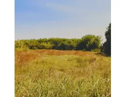 Aste giudiziarie immobiliari online - 2.0