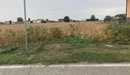 Aste giudiziarie immobiliari online - 10.0