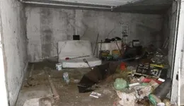 Aste giudiziarie immobiliari online - 7.0