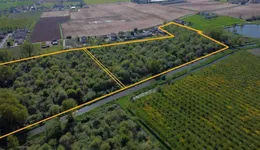 Aste giudiziarie immobiliari online - 11.0