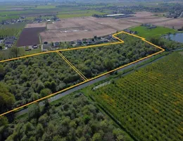 Aste giudiziarie immobiliari online - 7.0