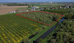 Aste giudiziarie immobiliari online - 12.0