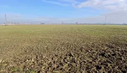 Aste giudiziarie immobiliari online - 8.0