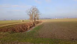 Aste giudiziarie immobiliari online - 9.0