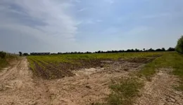 Aste giudiziarie immobiliari online - 4.0