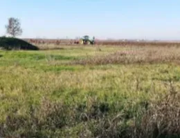 Aste giudiziarie immobiliari online - 3.0