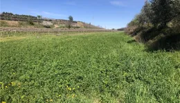 Aste giudiziarie immobiliari online - 9.0