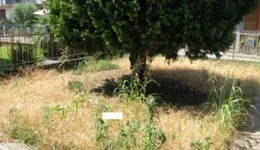 Aste giudiziarie immobiliari online - 3.0