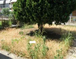 Aste giudiziarie immobiliari online - 3.0