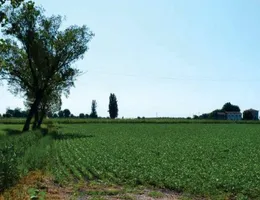 Aste giudiziarie immobiliari online - 4.0