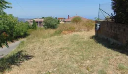 Aste giudiziarie immobiliari online - 9.0